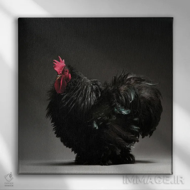تابلو کوشین بانتام فریزل (نژاد مرغ) اثر چیکن (اثر هنری با لحن شوخ) - نمای روبهرو روی دیوار