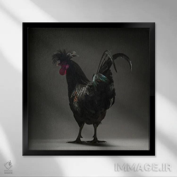 تابلو لانگکروور کوزوو (نژاد مرغ) اثر چیکن (اثر هنری با لحن شوخ) - نمای قابدار مشکی