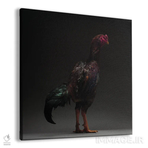 تابلو کو شامو (نژاد مرغ) اثر چیکن (اثر هنری با لحن شوخ) - نمای پرسپکتیو محصول