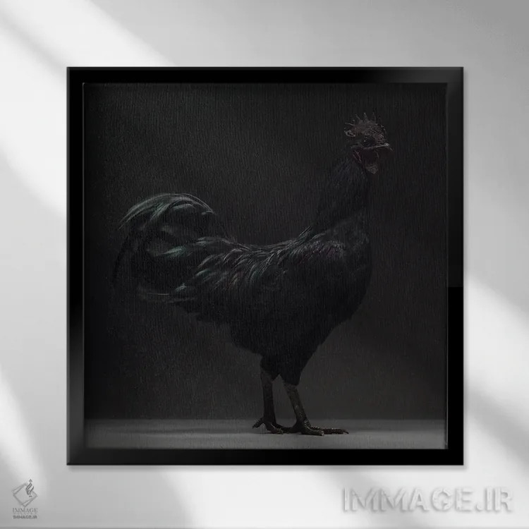 تابلو آیام چمانی (نژاد مرغ) اثر چیکن (اثر هنری با لحن شوخ) - نمای قابدار مشکی