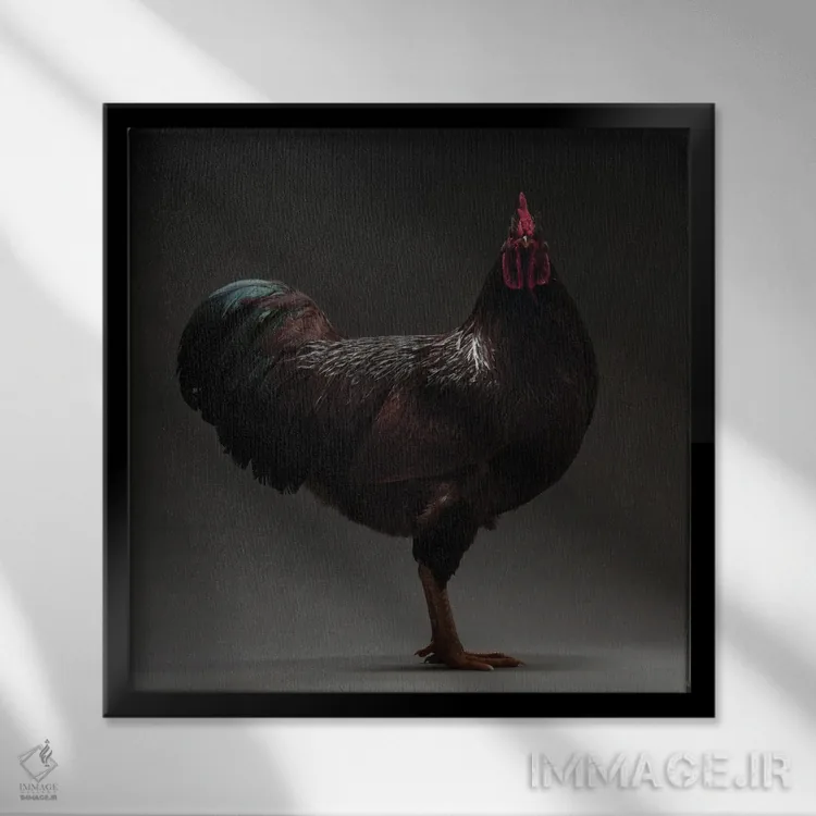 تابلو رود آیلند (نژاد مرغ) اثر چیکن (اثر هنری با لحن شوخ) - نمای قابدار مشکی