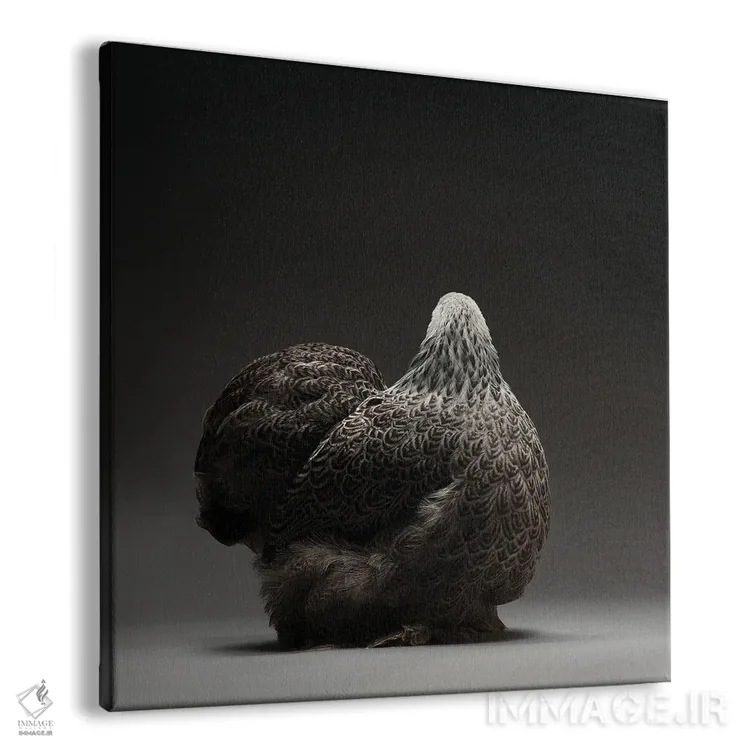 تابلو کوشین بانتام (نژاد مرغ) اثر چیکن (اثر هنری با لحن شوخ) - نمای پرسپکتیو محصول