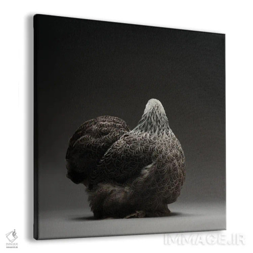 تابلو کوشین بانتام (نژاد مرغ) اثر چیکن (اثر هنری با لحن شوخ) - نمای پرسپکتیو محصول