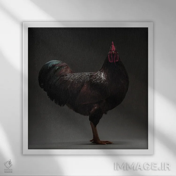 تابلو رود آیلند (نژاد مرغ) اثر چیکن (اثر هنری با لحن شوخ) - نمای قابدار سفید