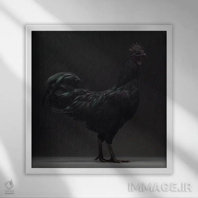 تابلو آیام چمانی (نژاد مرغ) اثر چیکن (اثر هنری با لحن شوخ) - نمای قابدار سفید