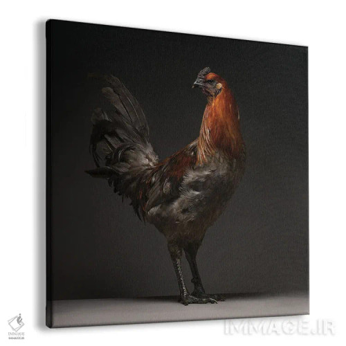 تابلو جنگجوی لیژ (نژاد مرغ) اثر چیکن (اثر هنری با لحن شوخ) - نمای پرسپکتیو محصول