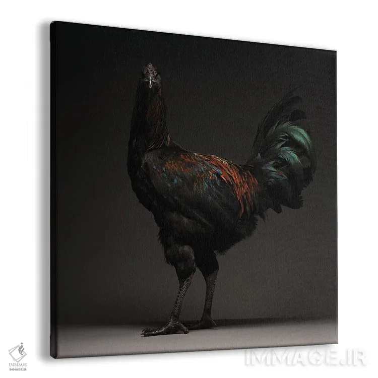 تابلو جنگجوی لیژ (نژاد مرغ) اثر چیکن (اثر هنری با لحن شوخ) - نمای پرسپکتیو محصول