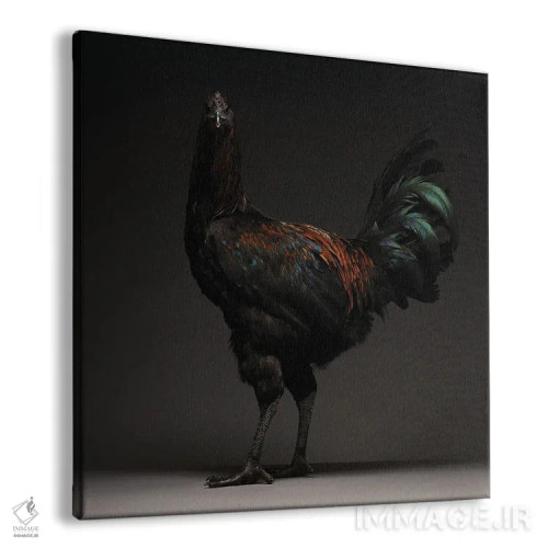 تابلو جنگجوی لیژ (نژاد مرغ) اثر چیکن (اثر هنری با لحن شوخ) - نمای پرسپکتیو محصول