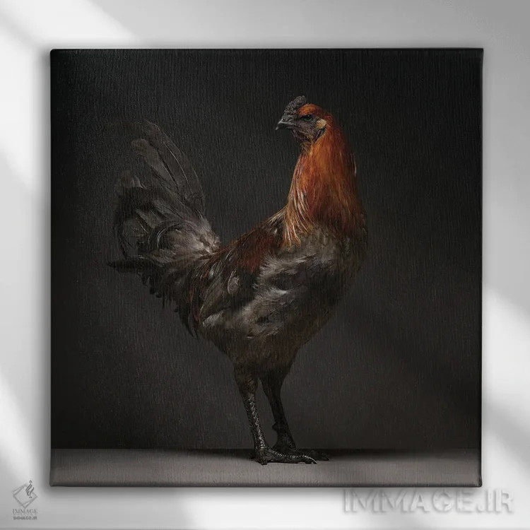 تابلو جنگجوی لیژ (نژاد مرغ) اثر چیکن (اثر هنری با لحن شوخ) - نمای روبهرو روی دیوار