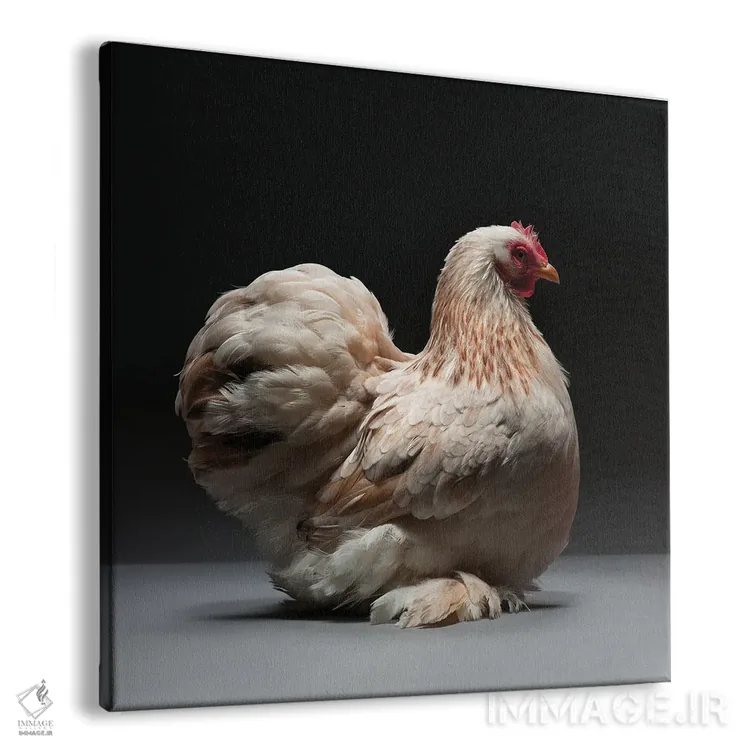 تابلو کوشین بانتام (نژاد مرغ) اثر چیکن (اثر هنری با لحن شوخ) - نمای پرسپکتیو محصول