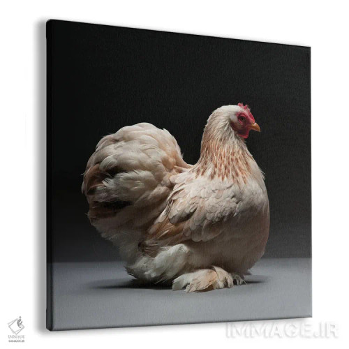 تابلو کوشین بانتام (نژاد مرغ) اثر چیکن (اثر هنری با لحن شوخ) - نمای پرسپکتیو محصول