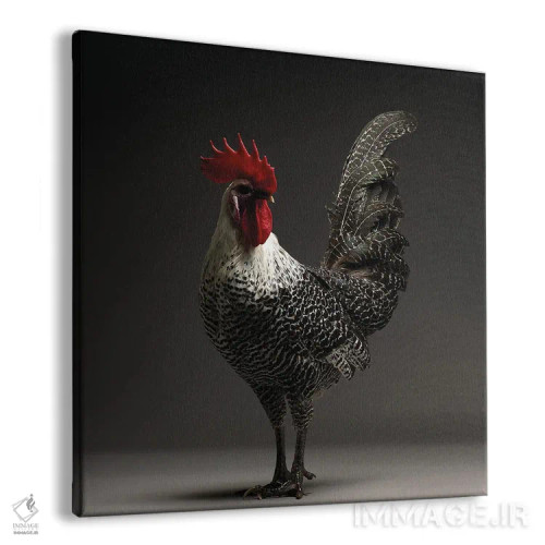تابلو کمپین (نژاد مرغ) اثر چیکن (اثر هنری با لحن شوخ) - نمای پرسپکتیو محصول