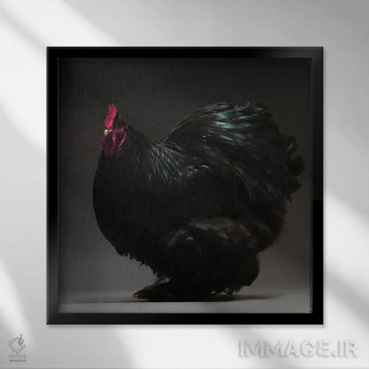 تابلو کوشین بانتام (نژاد مرغ) اثر چیکن (اثر هنری با لحن شوخ) - نمای قابدار مشکی