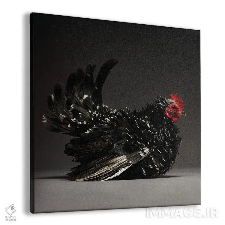 تابلو بانتام ژاپنی (نژاد مرغ) اثر چیکن (اثر هنری با لحن شوخ) - نمای پرسپکتیو محصول