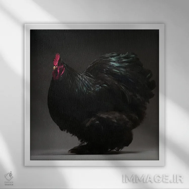 تابلو کوشین بانتام (نژاد مرغ) اثر چیکن (اثر هنری با لحن شوخ) - نمای قابدار سفید