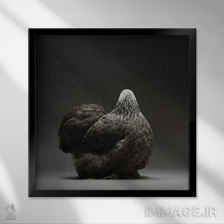 تابلو کوشین بانتام (نژاد مرغ) اثر چیکن (اثر هنری با لحن شوخ) - نمای قابدار مشکی