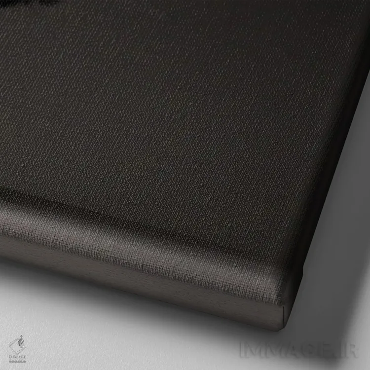 تابلو جنگجوی لیژ (نژاد مرغ) اثر چیکن (اثر هنری با لحن شوخ) - نمای نزدیک بافت بوم