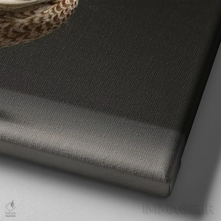 تابلو کورنیش (نژاد مرغ) اثر چیکن (اثر هنری با لحن شوخ) - نمای نزدیک بافت بوم