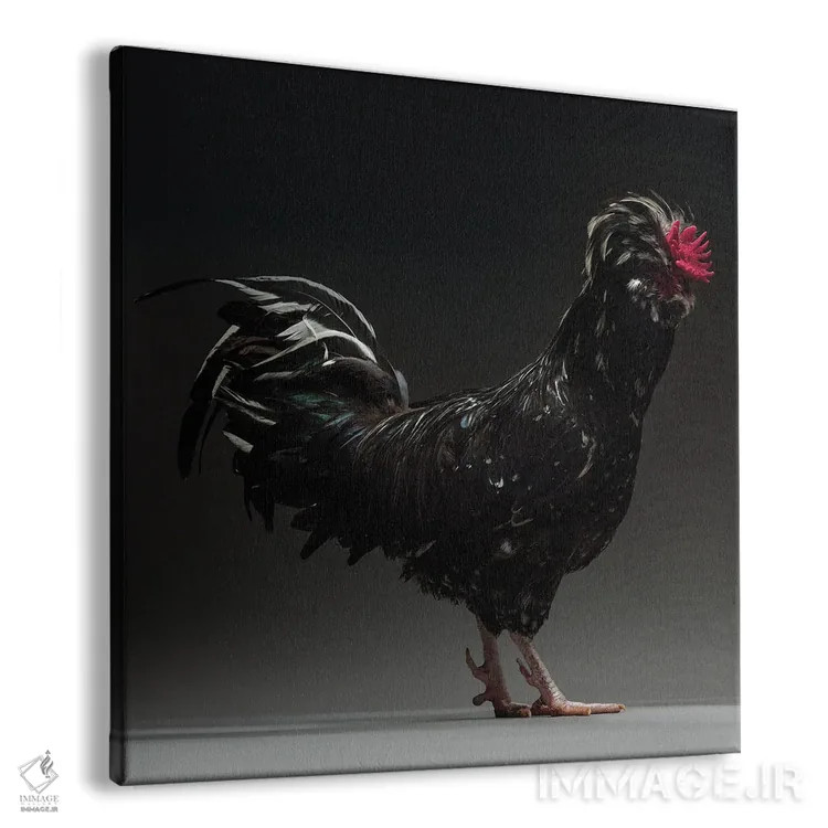 تابلو هودان (نژاد مرغ) اثر چیکن (اثر هنری با لحن شوخ) - نمای پرسپکتیو محصول