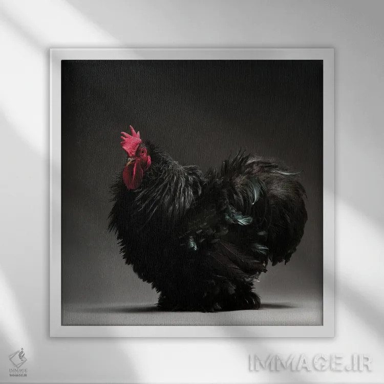 تابلو کوشین بانتام فریزل (نژاد مرغ) اثر چیکن (اثر هنری با لحن شوخ) - نمای قابدار سفید