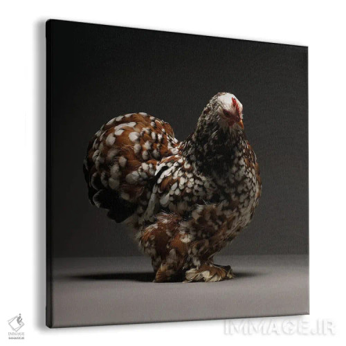 تابلو کوشین بانتام (نژاد مرغ) اثر چیکن (اثر هنری با لحن شوخ) - نمای پرسپکتیو محصول