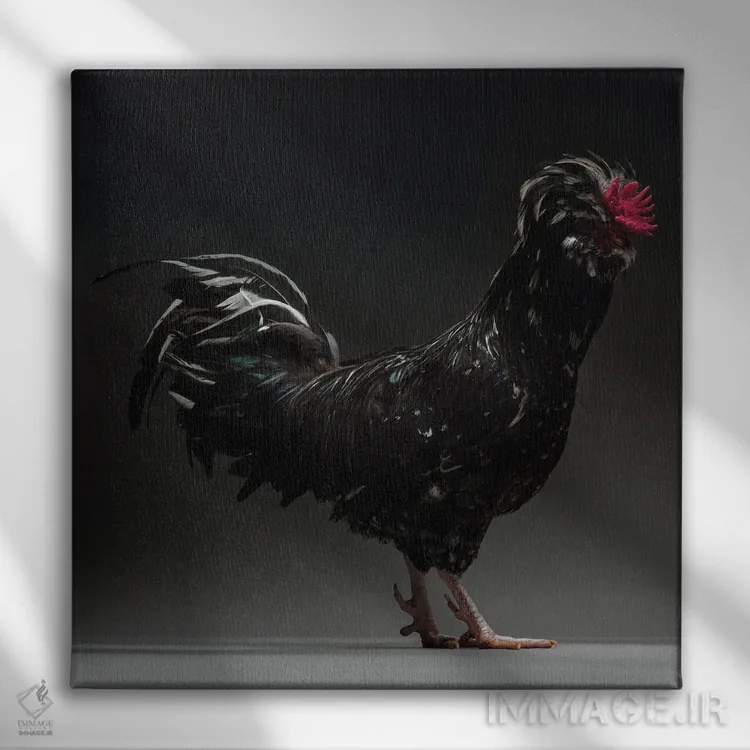 تابلو هودان (نژاد مرغ) اثر چیکن (اثر هنری با لحن شوخ) - نمای روبهرو روی دیوار