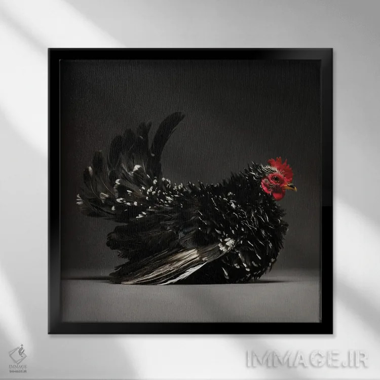 تابلو بانتام ژاپنی (نژاد مرغ) اثر چیکن (اثر هنری با لحن شوخ) - نمای قابدار مشکی