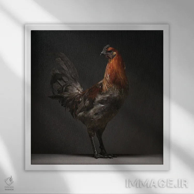 تابلو جنگجوی لیژ (نژاد مرغ) اثر چیکن (اثر هنری با لحن شوخ) - نمای قابدار سفید