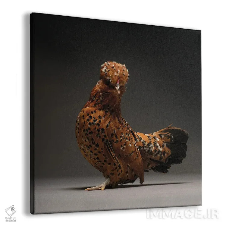 تابلو باربو واترمیل (نژاد مرغ) اثر چیکن (اثر هنری با لحن شوخ) - نمای پرسپکتیو محصول