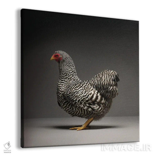 تابلو ویاندوت (نژاد مرغ) اثر چیکن (اثر هنری با لحن شوخ) - نمای پرسپکتیو محصول