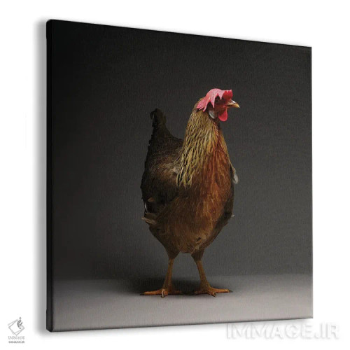تابلو لگهورن (نژاد مرغ) اثر چیکن (اثر هنری با لحن شوخ) - نمای پرسپکتیو محصول