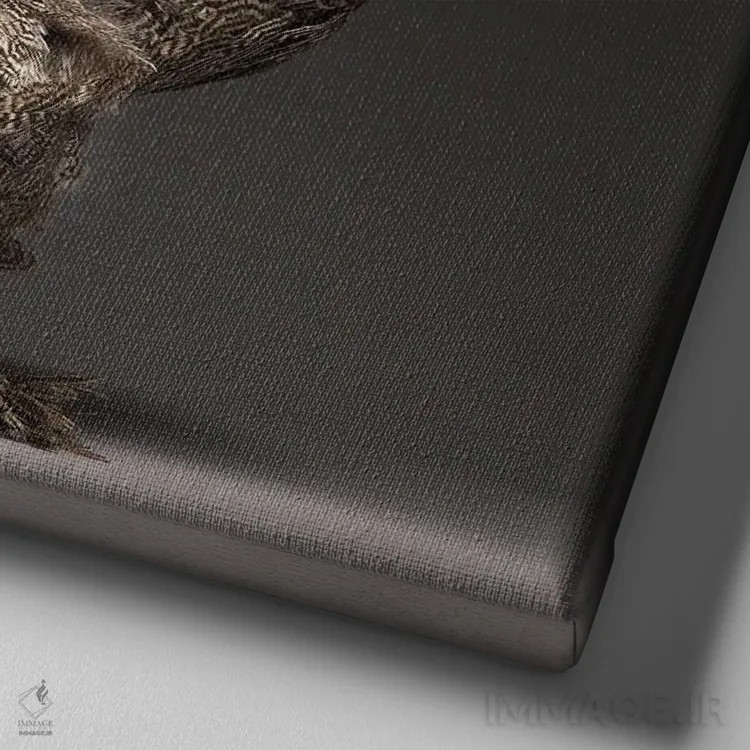 تابلو برهما (نژاد مرغ) اثر چیکن (اثر هنری با لحن شوخ) - نمای نزدیک بافت بوم