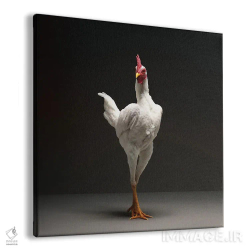 تابلو مرغ جنگجوی مدرن انگلیسی اثر چیکن (اثر هنری با لحن شوخ) - نمای پرسپکتیو محصول