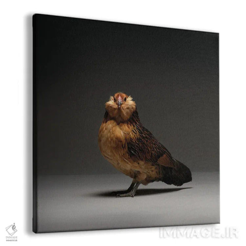 تابلو باربو دانور (نژاد مرغ) اثر چیکن (اثر هنری با لحن شوخ) - نمای پرسپکتیو محصول