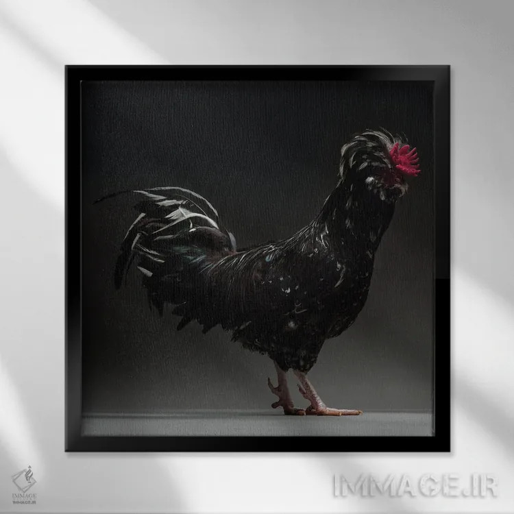 تابلو هودان (نژاد مرغ) اثر چیکن (اثر هنری با لحن شوخ) - نمای قابدار مشکی