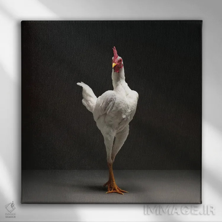 تابلو مرغ جنگجوی مدرن انگلیسی اثر چیکن (اثر هنری با لحن شوخ) - نمای روبهرو روی دیوار