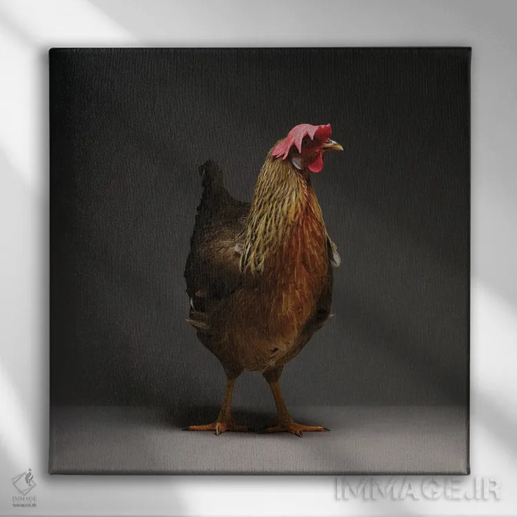 تابلو لگهورن (نژاد مرغ) اثر چیکن (اثر هنری با لحن شوخ) - نمای روبهرو روی دیوار