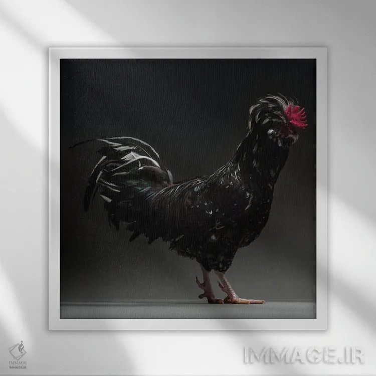 تابلو هودان (نژاد مرغ) اثر چیکن (اثر هنری با لحن شوخ) - نمای قابدار سفید