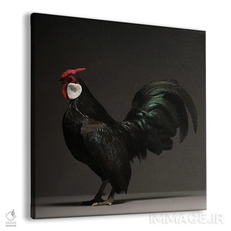 تابلو بانتام (نژاد مرغ) اثر چیکن (اثر هنری با لحن شوخ) - نمای پرسپکتیو محصول