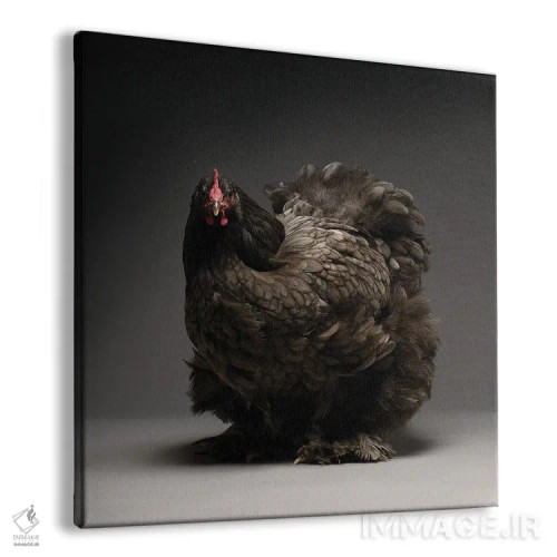 تابلو کوشین (نژاد مرغ) اثر چیکن (اثر هنری با لحن شوخ) - نمای پرسپکتیو محصول