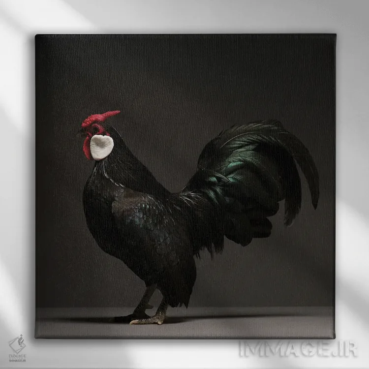 تابلو بانتام (نژاد مرغ) اثر چیکن (اثر هنری با لحن شوخ) - نمای روبهرو روی دیوار