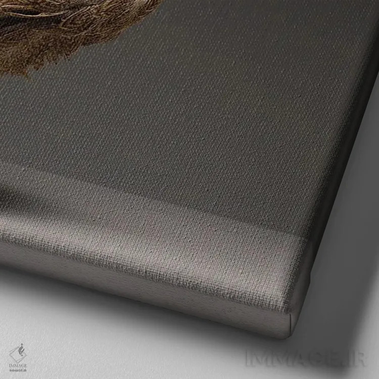 تابلو برهما (نژاد مرغ) اثر چیکن (اثر هنری با لحن شوخ) - نمای نزدیک بافت بوم