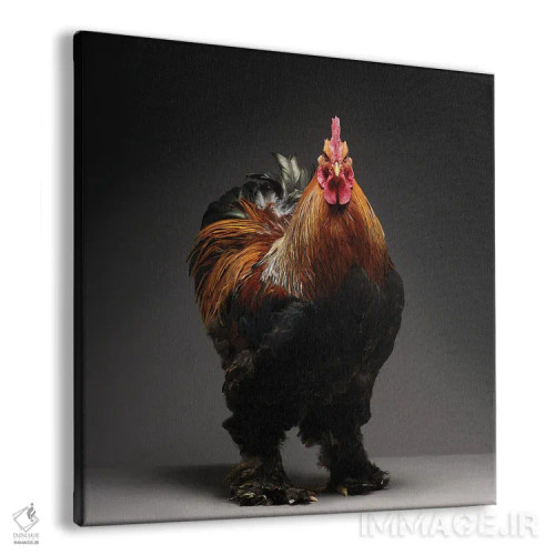 تابلو کوشین (نژاد مرغ) اثر چیکن (اثر هنری با لحن شوخ) - نمای پرسپکتیو محصول