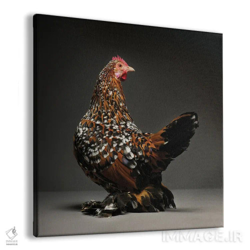 تابلو بانتام بوتدار میل فلور (نژاد مرغ) اثر چیکن (اثر هنری با لحن شوخ) - نمای پرسپکتیو محصول