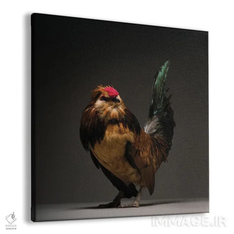 تابلو باربو واترمیل (نژاد مرغ) اثر چیکن (اثر هنری با لحن شوخ) - نمای پرسپکتیو محصول