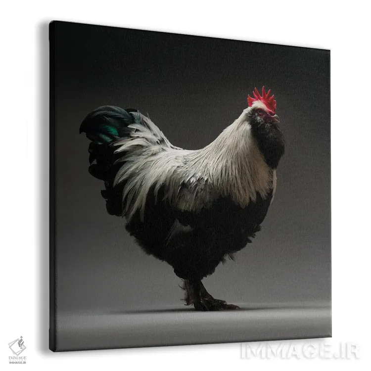 تابلو فاورول (نژاد مرغ) اثر چیکن (اثر هنری با لحن شوخ) - نمای پرسپکتیو محصول