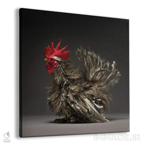 تابلو چابو فریزل (نژاد مرغ) اثر چیکن (اثر هنری با لحن شوخ) - نمای پرسپکتیو محصول