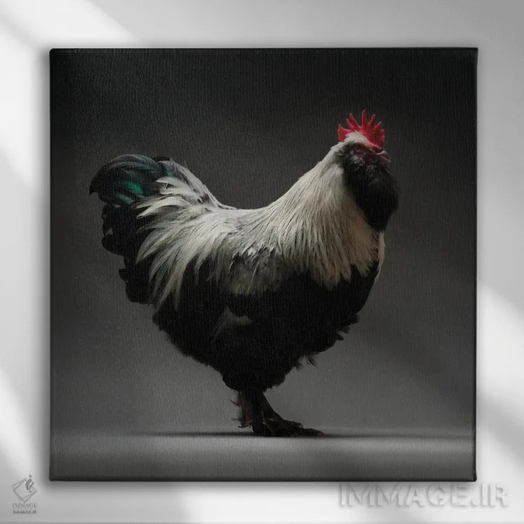 تابلو فاورول (نژاد مرغ) اثر چیکن (اثر هنری با لحن شوخ) - نمای روبهرو روی دیوار
