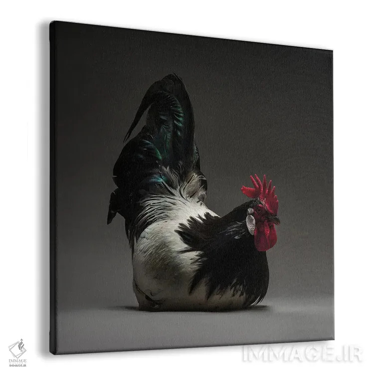 تابلو لاکنفلد (نژاد مرغ) اثر چیکن (اثر هنری با لحن شوخ) - نمای پرسپکتیو محصول