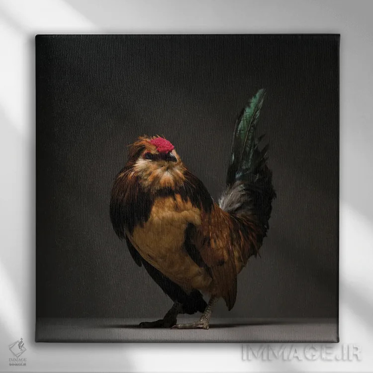 تابلو باربو واترمیل (نژاد مرغ) اثر چیکن (اثر هنری با لحن شوخ) - نمای روبهرو روی دیوار